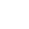Accident Icon